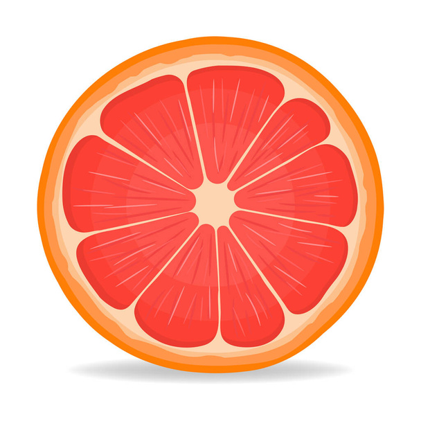 Fresh bright exotic half cut grapefruit isolated on white background. Summer fruits for healthy lifestyle. Organic fruit. Cartoon style. Vector illustration for any design. - Vector, Image