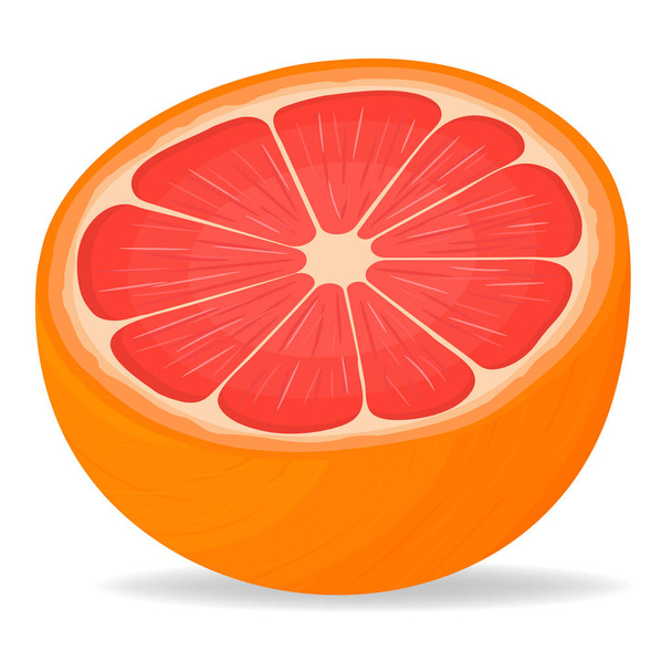 Fresh bright exotic half cut grapefruit isolated on white background. Summer fruits for healthy lifestyle. Organic fruit. Cartoon style. Vector illustration for any design. - Vektor, obrázek