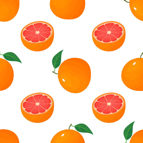 Seamless pattern with fresh bright exotic whole and half grapefruit isolated on white background. Summer fruits for healthy lifestyle. Organic fruit. Cartoon style. Vector illustration for any design. - Vector, Image