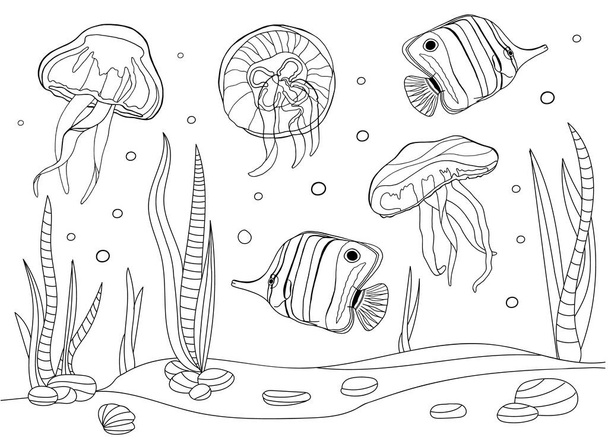 Kolorowanki dla dzieci i dorosłych. Ilustracja wektora tropikalnych ryb i meduz. Zarys sceny pod wodą. Czarno-białe, egzotyczne morskie dno. Motyl rysunkowy i muszle - Wektor, obraz