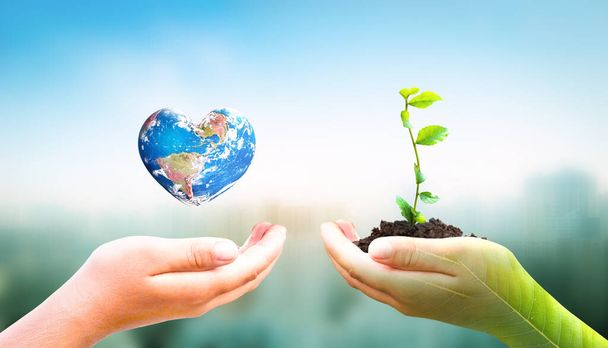World Environment Day concept: hand holding tree planting and  earth on  green nature background, this image furnished by NASA - Photo, Image