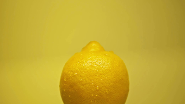 druppels vallen op hele rijpe citroen geïsoleerd op geel - Video