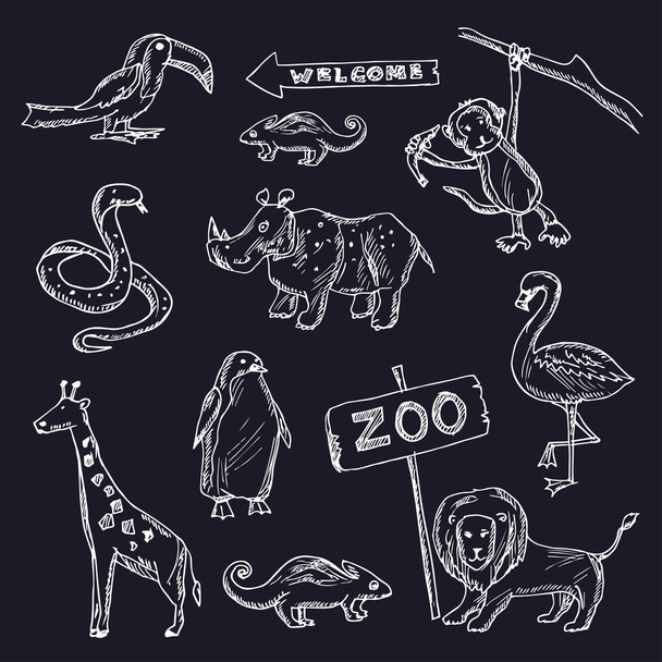 Zoo hand drawn doodle set. Vector illustration. Isolated elements on white background. Symbol collection. - Vetor, Imagem