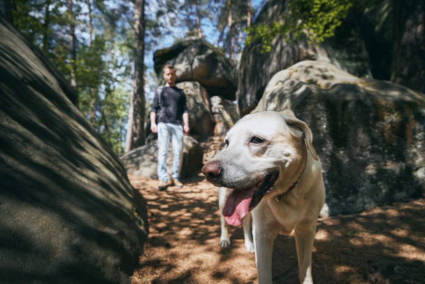 Man met zijn hond te voet in het midden van rotsformaties. Boheemse Paradijs, Tsjechië - Foto, afbeelding