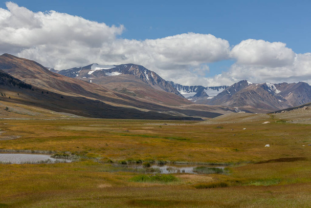 Typical landscapes of Mongolia. mountain slopes and valleys. Altai, Mongolia - Φωτογραφία, εικόνα