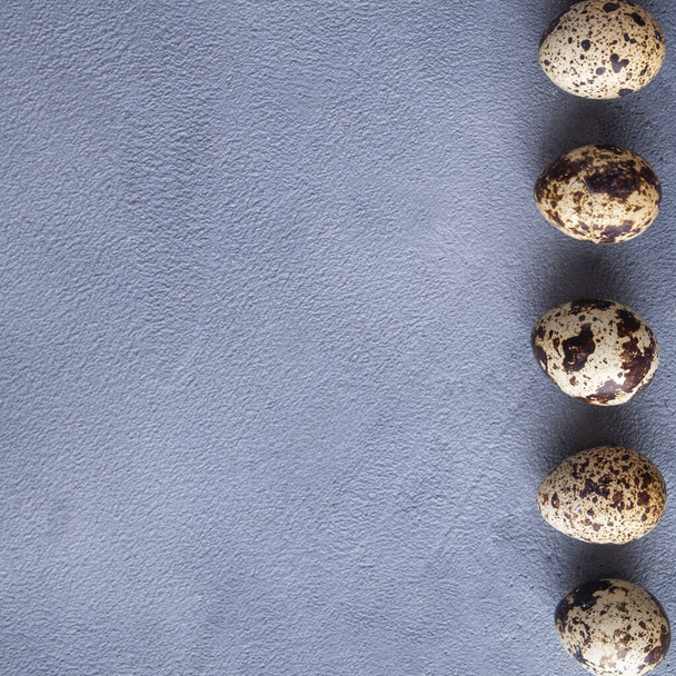 Small quail eggs on dark background with copy space. Top view - Foto, afbeelding