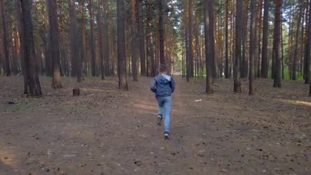 Chłopiec biegający w lesie. - Materiał filmowy, wideo