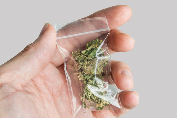 male hand holding bag with medical marijuana isolated on grey background - Foto, Imagen