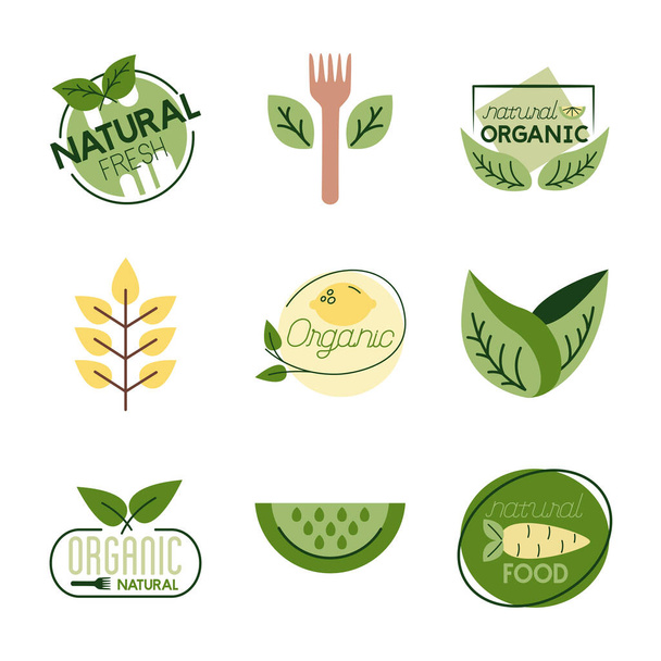 paquete de naturaleza e iconos orgánicos
 - Vector, imagen