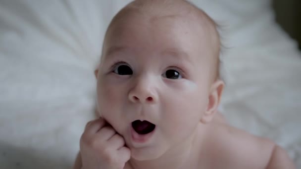 Portrait Of Newborn Baby In Diaper Looking At Camera And Sucking Fingers - Кадры, видео
