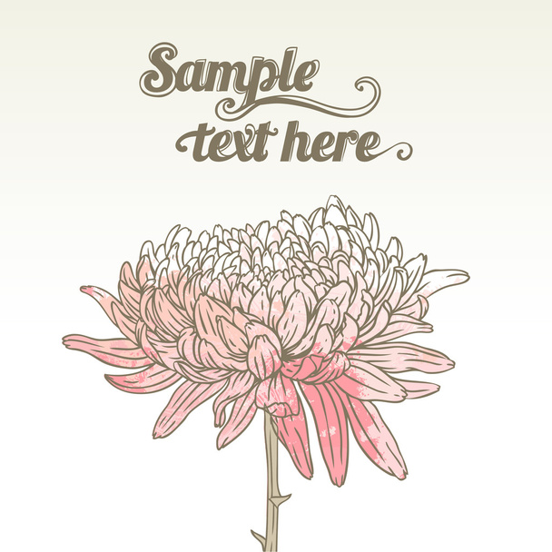 Chrysanthemum floral greeting card - Διάνυσμα, εικόνα