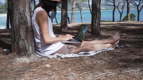 Egy nő gépel egy laptopon, kint dolgozik egy fenyőerdőben, közel a tengerparthoz. - Felvétel, videó