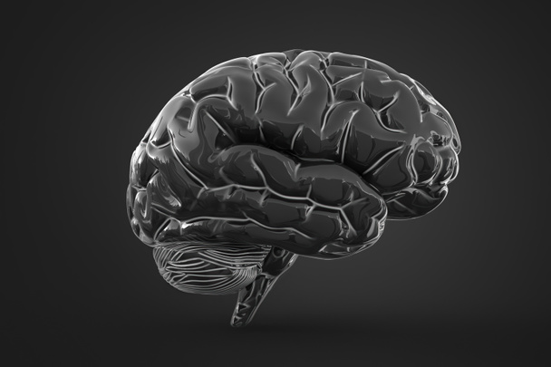 3D απεικόνιση του ανθρώπινου εγκεφάλου σε σκούρο φόντο με απαλή σκιά.  - Φωτογραφία, εικόνα