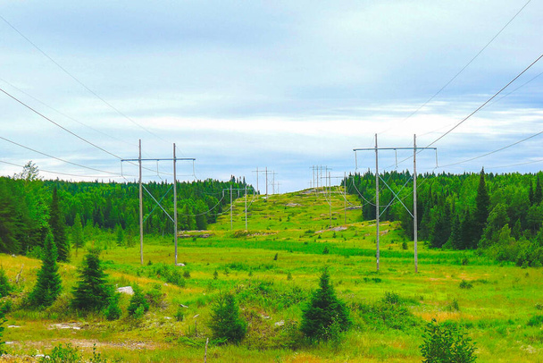 Гидроэлектролинии и башни, проходящие через лесозаготовки в сельской местности северной части Онтарио
 - Фото, изображение