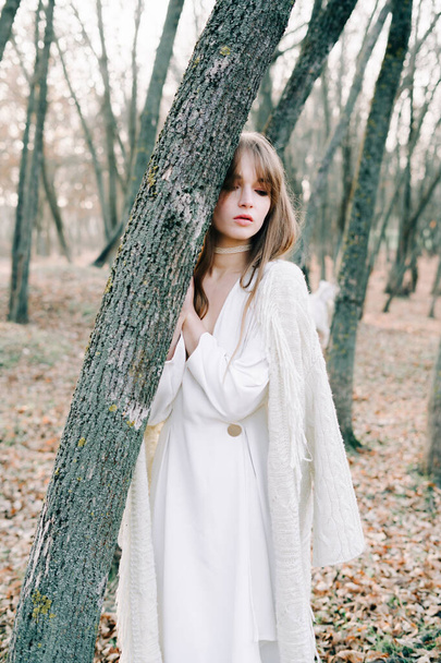 portret van een jong aantrekkelijk meisje met blond haar in een licht witte jurk en zwarte schoenen in een pittoresk bos met geiten in het najaar. - Foto, afbeelding