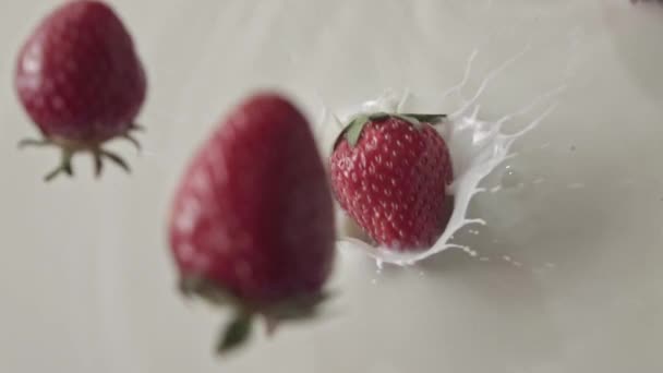  φρέσκες ώριμες φράουλες με γάλα, βίντεο - Πλάνα, βίντεο