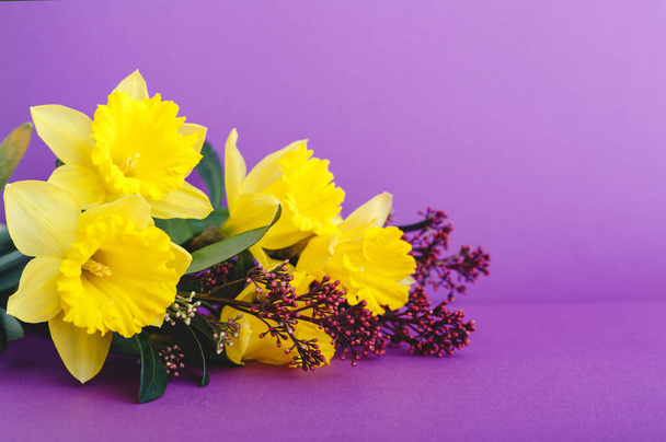 Beautiful spring bouquet of flowers yellow daffodil on lilac purple background with place for text. Floristic composition as greeting card for women March 8, Mother's Day, Valentine's Day. - Valokuva, kuva