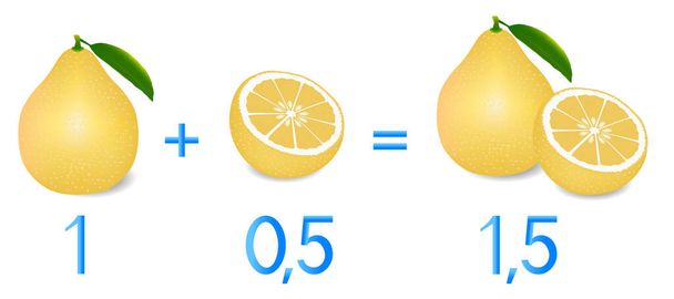 Mathematical games for children. Study the fractions numbers, example with of a pomelo. - Vector, Image