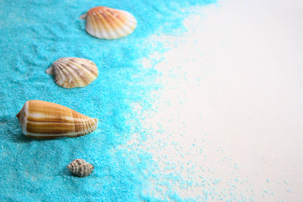чотири мушлі на блакитному піску
 - Фото, зображення