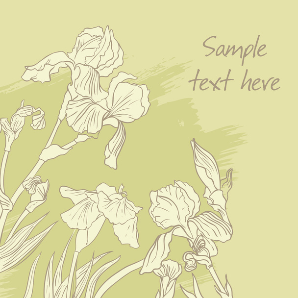 Iris flower drawing - Vecteur, image