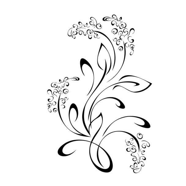 decoratieve takje met kleine bloemen, bladeren en krullen in zwarte lijnen op witte achtergrond - Vector, afbeelding