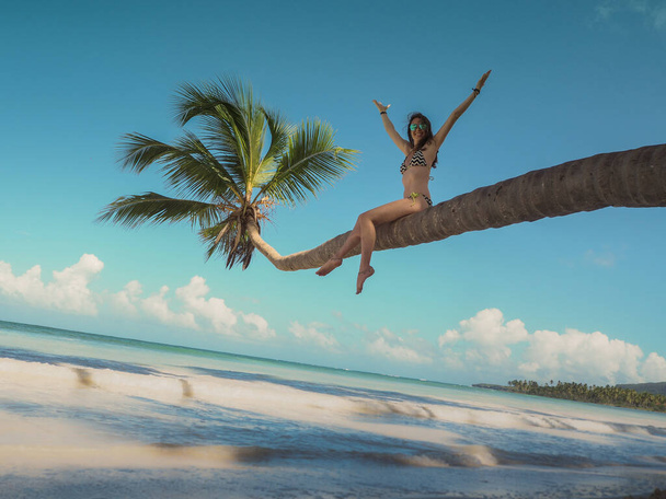 young carefree woman sitting on palm tree at tropical beach - Zdjęcie, obraz