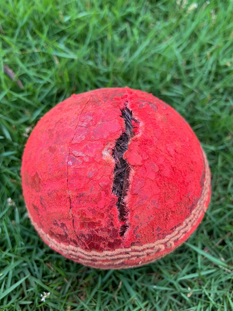 Yeşil çimlerin üzerinde kırmızı kriket topu var. Yakın çekim.. - Fotoğraf, Görsel
