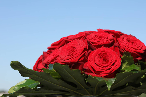 Un bouquet de merveilleuses roses rouges  - Photo, image