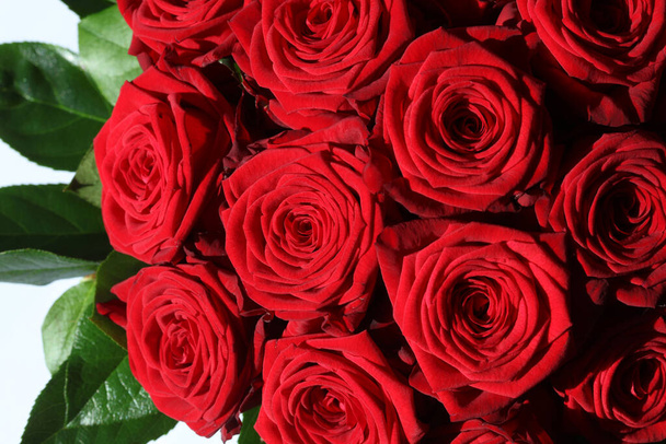 Ένα μπουκέτο υπέροχα κόκκινα τριαντάφυλλα  - Φωτογραφία, εικόνα