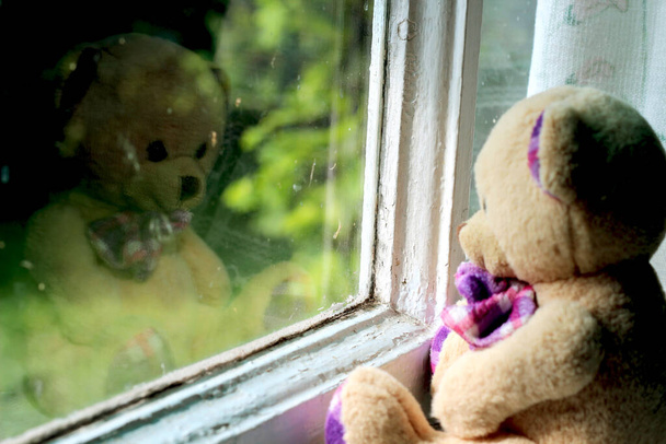 плюшева ведмежа плюшева іграшка дивиться через старовинне дерев'яне вікно і відображається в ньому, чекаючи на свого друга, закінчення літнього дощу, і кінець самоізоляції
 - Фото, зображення