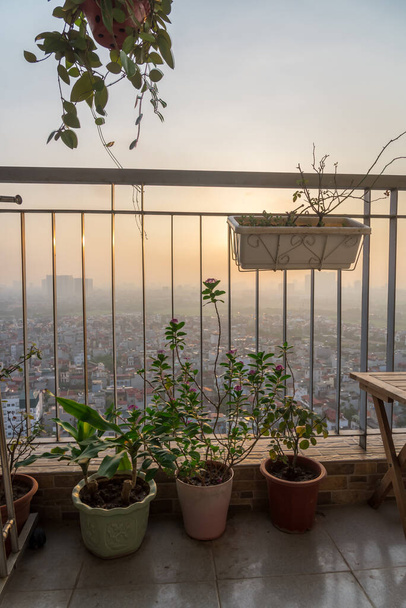 Hanoi, Vietnam 'da şehir manzaralı yüksek katlı bir dairede sıkışık bir balkon bahçesi. - Fotoğraf, Görsel