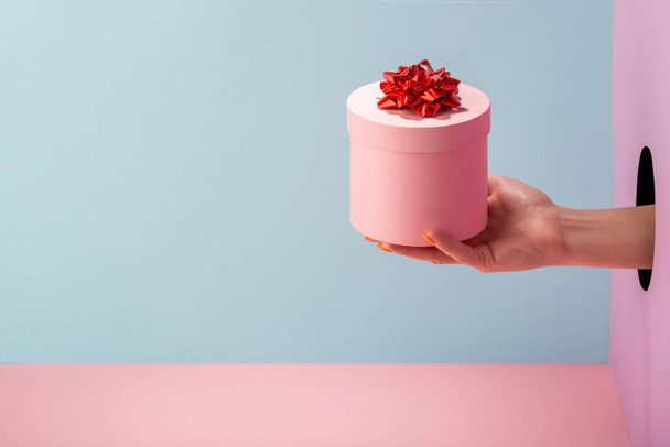 Womans hand holding a round gift box on blue and pink background - Fotografie, Obrázek