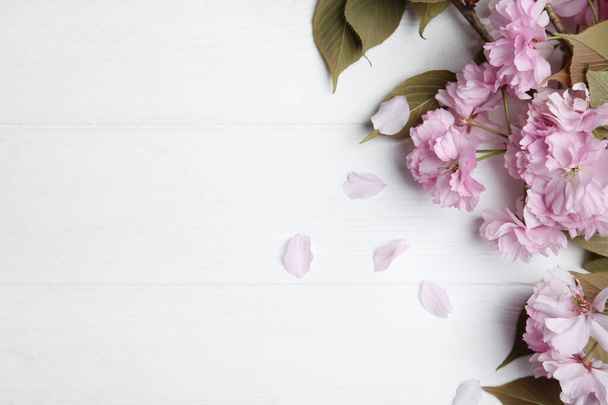 Sakura tree branch with beautiful blossom on white wooden background, space for text. Japanese cherry - Фото, зображення