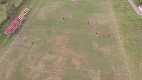 voetbal- en voetbaltraining van bovenaf - Video