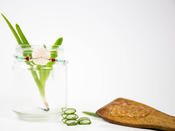 Aloe vera fresh leaves with slices and gel on wooden spoon. isolated over white. Aloe vera is a popular medicinal plant that is used for health and beauty. - Photo, Image
