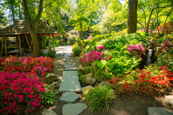 Japán kert lila bokorral a botanikus kertben Troja, Prága, Cseh Köztársaság - Fotó, kép