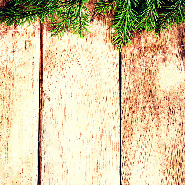 fir kerstboom - Foto, afbeelding