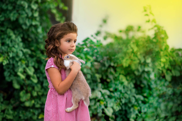 little Girl is holding a cute little rabbit, outdoor shoot - Foto, imagen