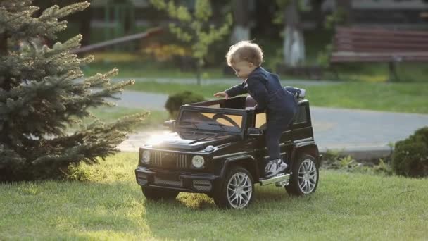 Niedliches Kleinkind spielt Auto im Park an einem sonnigen Tag. - Filmmaterial, Video