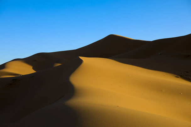 El Sahara el desierto árido más grande del mundo, estrellas en Marruecos con una mezcla de arena y roca
. - Foto, Imagen