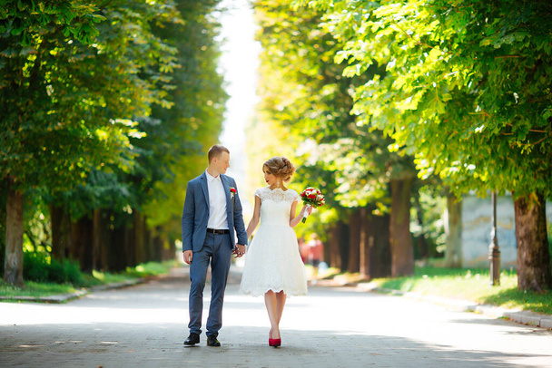 Fabulous young wedding couple posing in the park on the sunny day. - Foto, Imagem