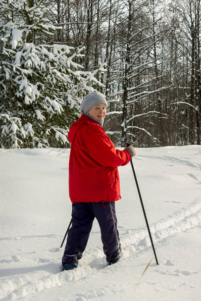 Woman on a ski with a freezing winter day takes a walk through the forest - Photo, image