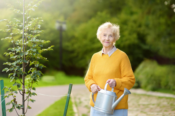 Vanhempi nainen vapaaehtoinen kastelee puuta kastelukannusta julkisessa puistossa tai yhteisön puutarhassa. Ympäristöstä huolehtiminen. - Valokuva, kuva