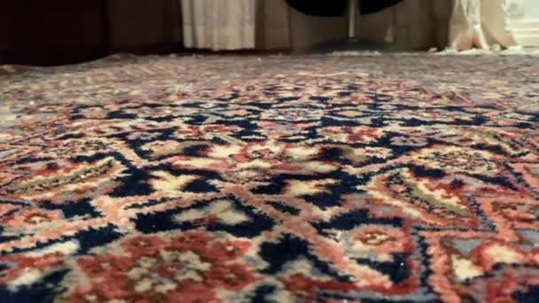 Kleiner gelber Wellensittich amüsiert sich mit seinem Spielzeug über den heimischen Teppich - Filmmaterial, Video