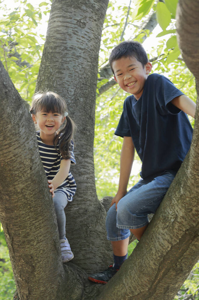 Japanisches Geschwisterpaar klettert auf Baum (10-jähriger Junge und 5-jähriges Mädchen)) - Foto, Bild