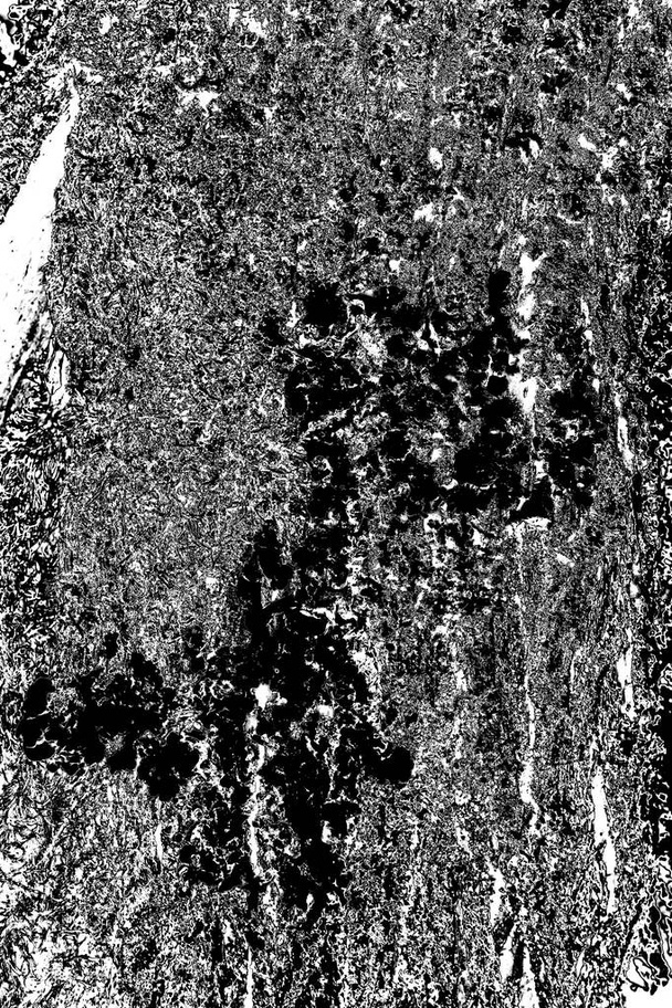 Abstraktní pozadí. Monochromní textura. Černobílé texturované pozadí - Fotografie, Obrázek