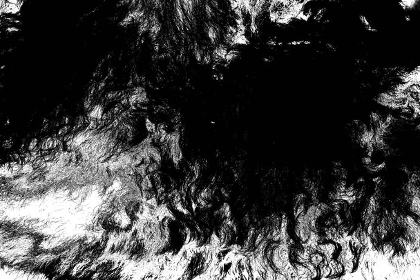 Овечья шерсть в обработке, черно-белый абстрактный фон
 - Фото, изображение