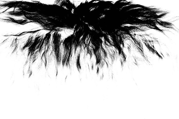 Schafwolle in der Verarbeitung, schwarz-weißer abstrakter Hintergrund - Foto, Bild