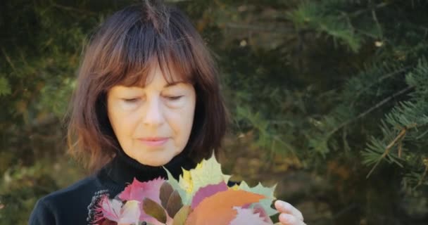Close-up widok cute starsza kobieta w czarnym swetrze gospodarstwa bukiet jesiennych liści i patrząc w oddali, a następnie uśmiechając się w parku w słoneczną pogodę na tle gałęzi świerku. - Materiał filmowy, wideo