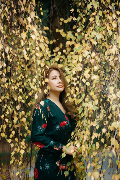 Mulher asiática bonita com folhas de outono na mão e queda amarelo folhas fundo
. - Foto, Imagem